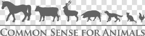 Common Sense For Animals  HD Png Download