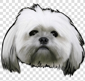 Lhasa Apso Logo  HD Png Download