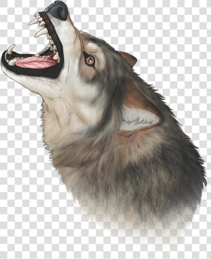 Wolf Nose Png   Cat Yawns  Transparent Png