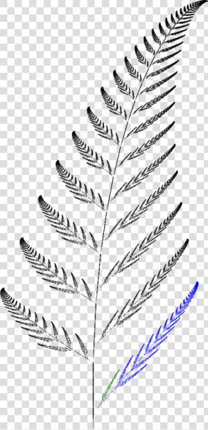 Barnsley Fern Funktion4   Barnsley Kapradi  HD Png Download