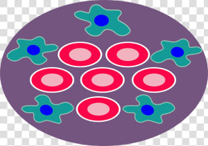 Png Freeuse Library Cancer Cell Clipart   Circle  Transparent Png