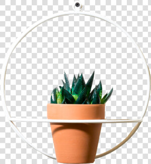 Image  1   1    Flowerpot  HD Png Download