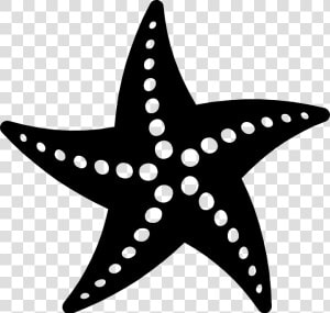 Png Starfish Black And White Transparent Starfish Black   Black Starfish Png  Png Download