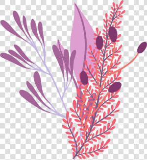 矢量卡通艺术植物装饰插画   Grevillea  HD Png Download