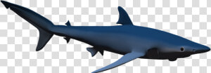 Hammerhead Shark Clip Art   3d Shark Png  Transparent Png