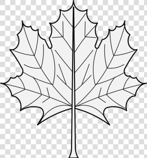 Maple Leaf   Png Download   Maple Leaf  Transparent Png