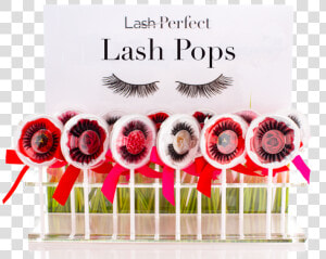 Lash Perfect Lash Pops Strip Eyelashes   Lash Perfect Lash Pops  HD Png Download