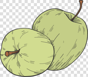 Winter Squash  HD Png Download