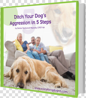 Ditch Your Dog S Aggression   Gassy Dog  HD Png Download