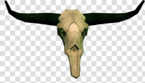 Cow Skull Png   Bull Skull Png  Transparent Png