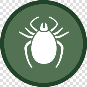 Tick Icon 02   Vacuum Ticks Icon Png  Transparent Png