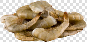 Scampi  HD Png Download