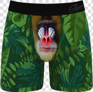 Men S Baboon Print Ball Hammock Boxer Briefs   American Eagle Baboon Underwear  HD Png Download