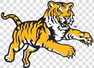 Tiger Lsu Tigers Logo Clipart Free And Saints Transparent  HD Png Download