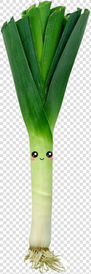 Mein Neuer Aufkleber ❤️   Leak Vegetables  HD Png Download