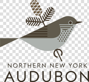 Audubon Logo History  HD Png Download