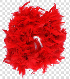 Feather Boa Png Free Download   Boa Obleceni  Transparent Png