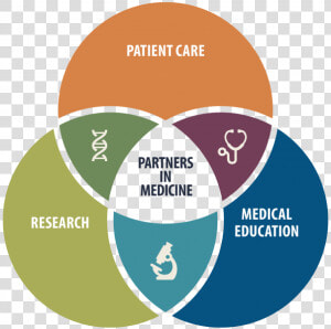 Uf Health Partners In Medicine Venn Diagram Overlapping   Awareness Attitude Usage Model  HD Png Download