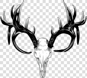 Transparent Deer Antler Clip Art   Deer Antlers Png Transparent  Png Download