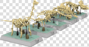 Lego Ideasmy Dinosaurs Fossils   Lego Ideas Dinosaur Fossils  HD Png Download