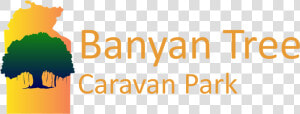 Banyan Tree Caravan Park   Tan  HD Png Download