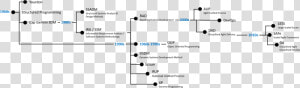 Devops Dna Timeline   Agile Devops Timeline  HD Png Download