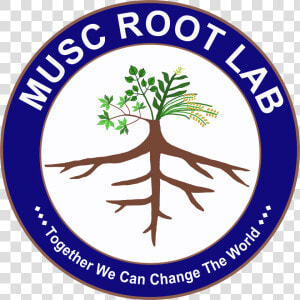 Root Lab Thailand   Emblem  HD Png Download