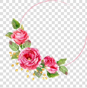 Românticas Rosas Vermelhas Pintadas Com Decorações   Flower Frame Vector Png  Transparent Png