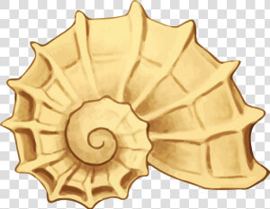 Sea Shell Big Image   Clip Art Sea Shell Png  Transparent Png