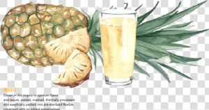 Pineapple Juice Glass Png   Pisco Punch  Transparent Png