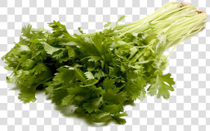 Celery Png Transparent Image   Parsley  Png Download