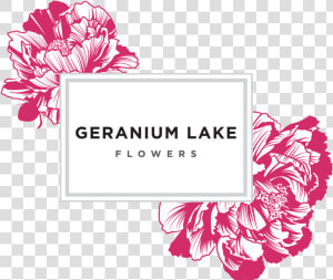 Geranium lake   Geranium Lake Flowers Logo  HD Png Download