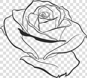 800 X 722   Transparent Simple Rose Outline  HD Png Download