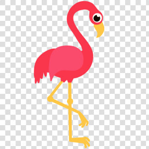 Download Flamingo Png Transparent Images Transparent   Transparent Background Flamingo Clipart  Png Download