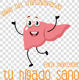 Logo   Higado Transaminasas  HD Png Download