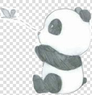 Cute Panda Tumblr Pintrest   Easy Cute Panda Drawing  HD Png Download