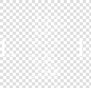 Logo 3   White   Jhu Logo White  HD Png Download