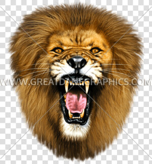 Roaring Lion Head Png   Roaring Lion Face Png  Transparent Png