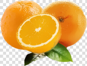 Orange Fruit Clipart Png Free Download Searchpng   Clementine  Transparent Png