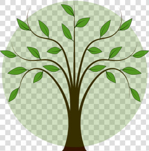 Folhas De Arvore Png   Tree With Leaves Clipart  Transparent Png