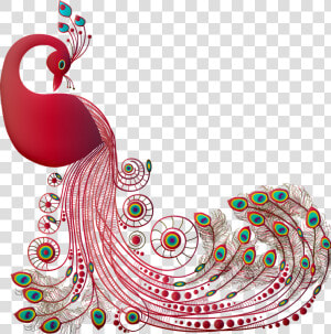 Peacock  Graceful  Bird  Animal  Plumage  Raptor  Wing   Png Embroidery Designs  Transparent Png