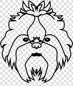 Shih Tzu Coloring Page   Line Art  HD Png Download