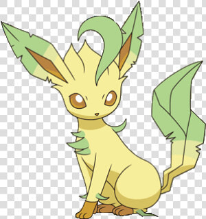 Leafeon Pokemon Eevee Evolutions  HD Png Download