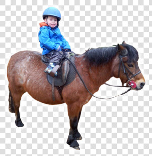 Learning With Horses   Boy Riding Horse Png  Transparent Png