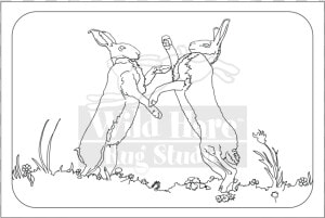 Hares Drawing Wild Hare   Line Art  HD Png Download