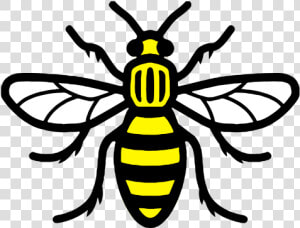 Honey Transparent Emoji Tattoo   Manchester Bee No Background  HD Png Download