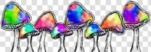 Trippy Clipart Colorful Mushroom   Mushroom  HD Png Download