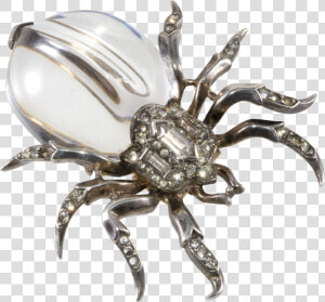 Patented In 1943  This Trifari Jelly Belly Depicts   Insect  HD Png Download