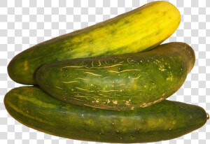 Three Cucumbers Clipart   Spreewald Gherkins  HD Png Download