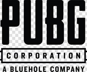 Playerunknown S Battlegrounds   Pubg A Bluehole Company  HD Png Download